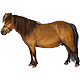 horse123's Avatar